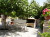 Dinas Paradise 